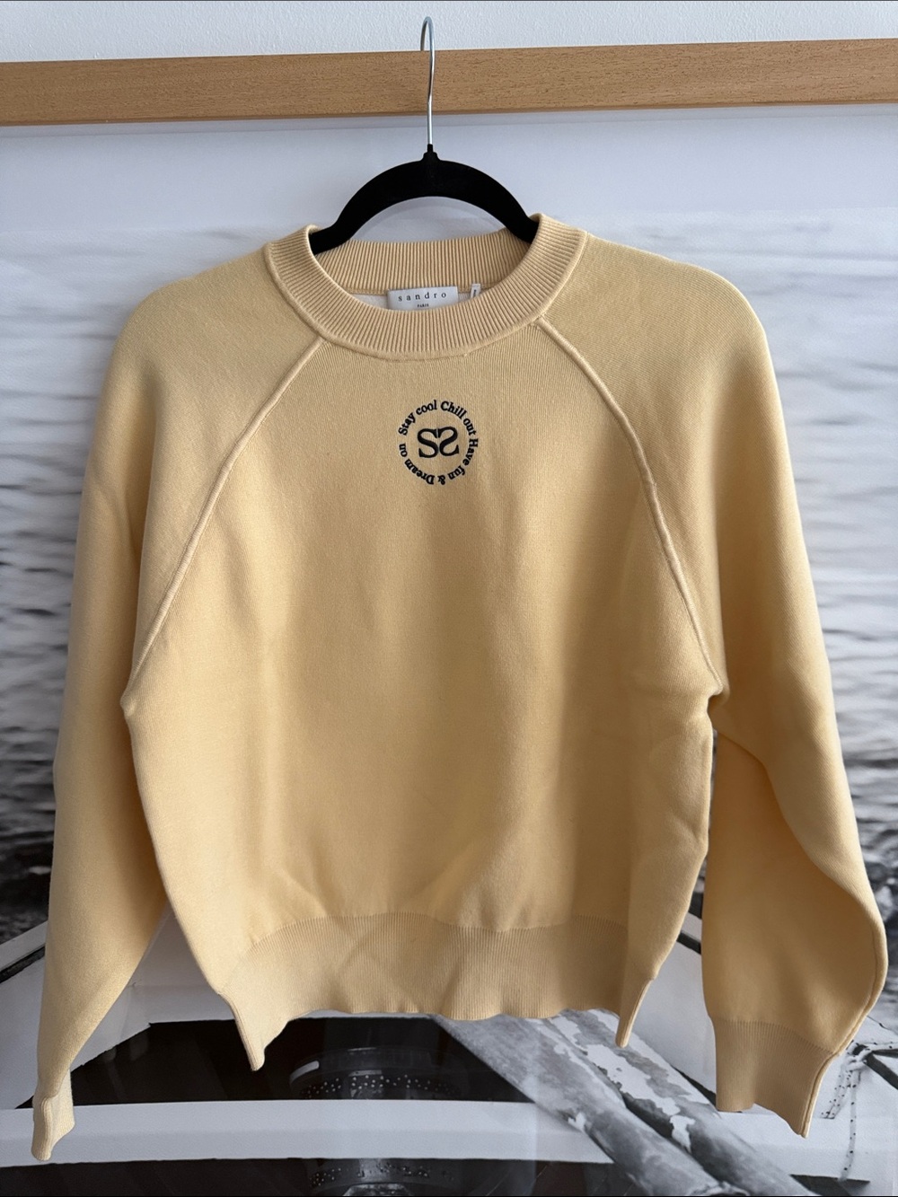 Sandro Sweater/Sweatshirt